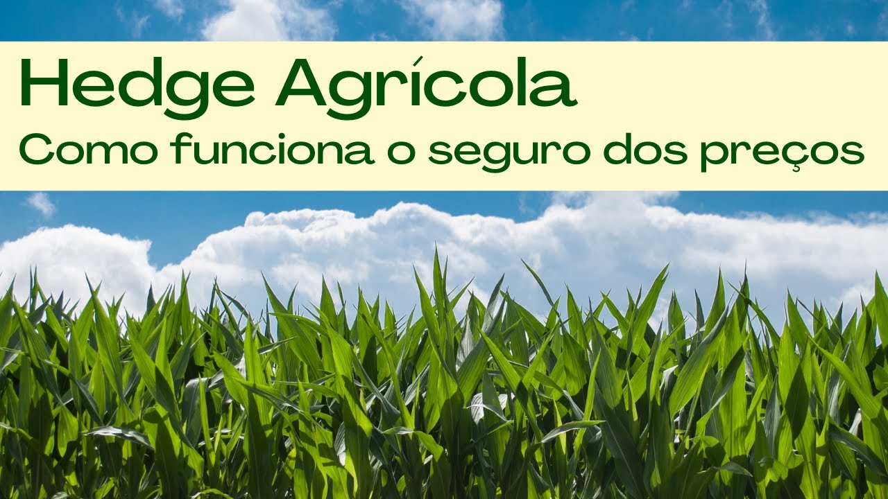Imagem do produto Consultoria sobre Hedge Agricola (Seguro dos Preços)